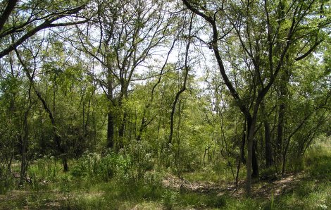 Habitat Management Can Be About Timing