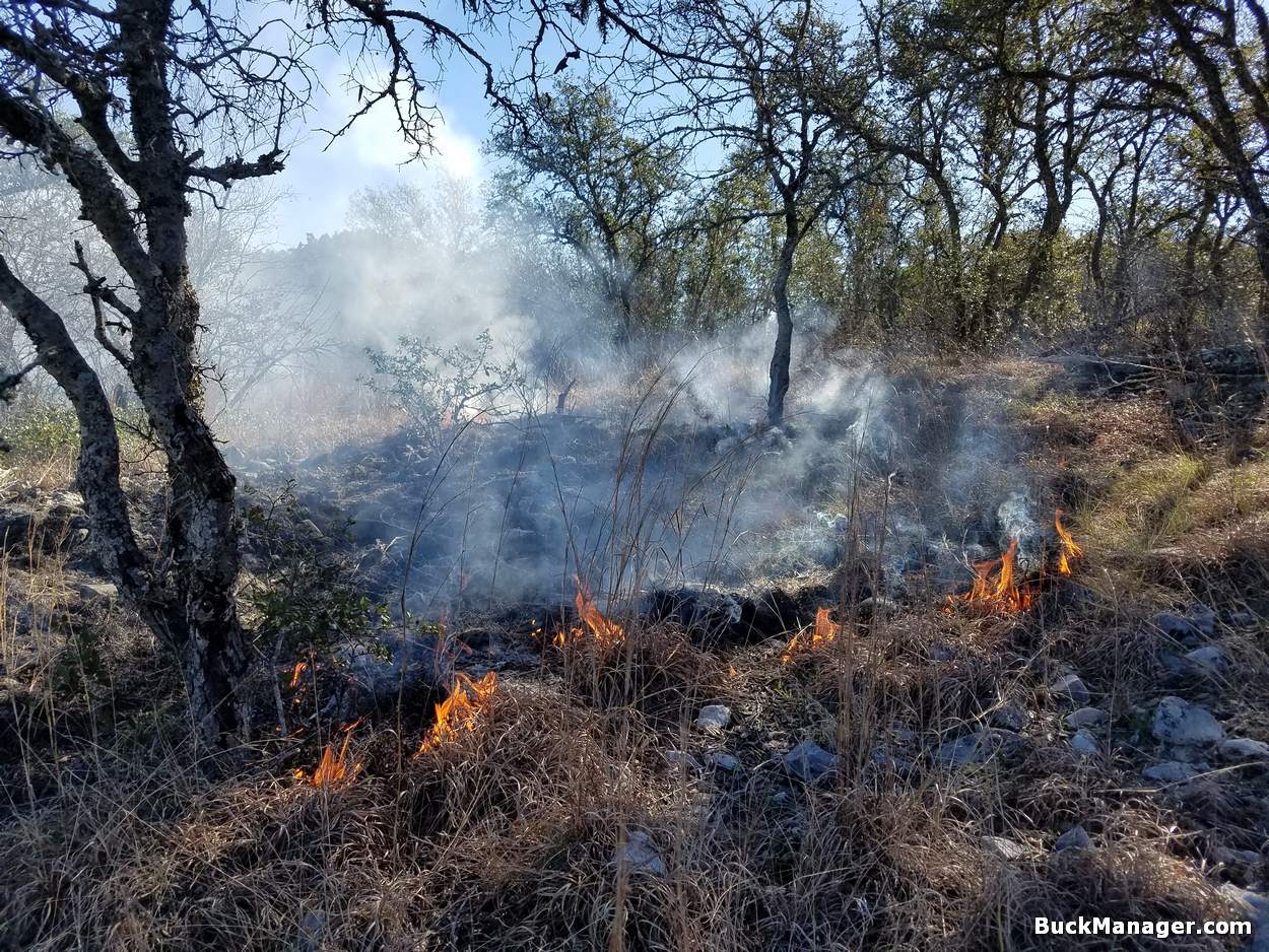 Habitat Management for Deer and Other WIldlife