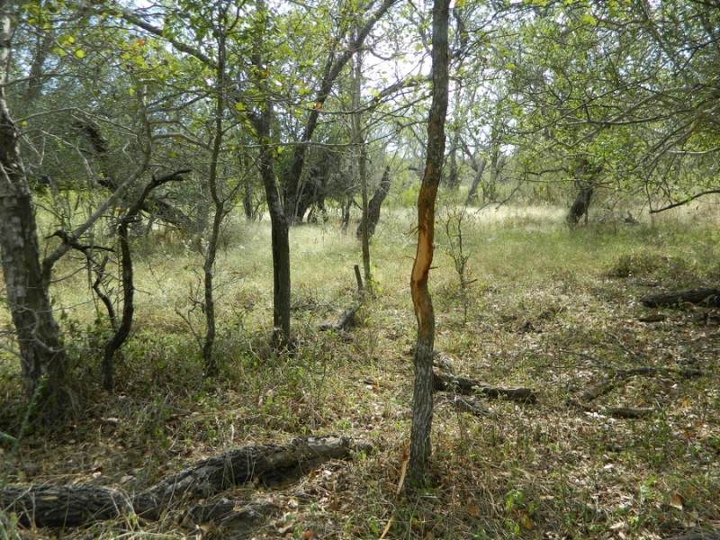 Find Hunting Land & Leases 10 Tips for Hunters