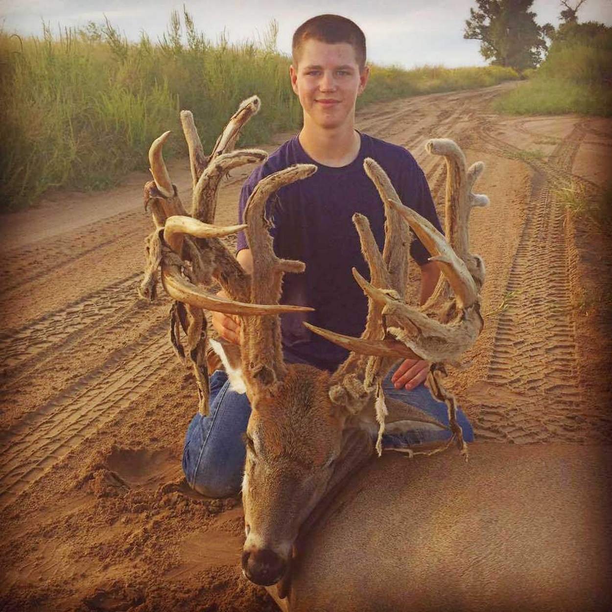 A Giant Whitetail Buck