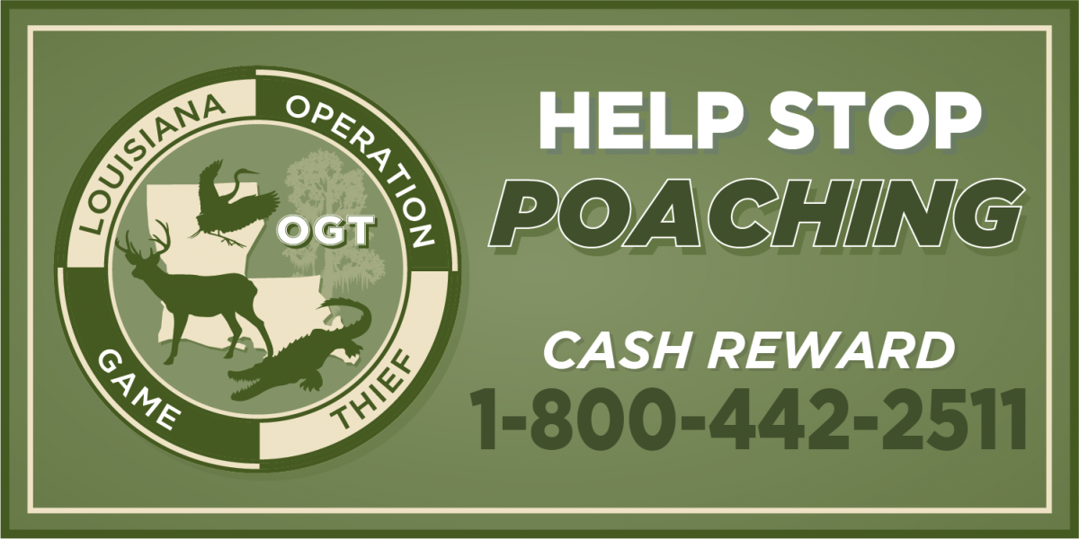 Report Poaching in Louisiana