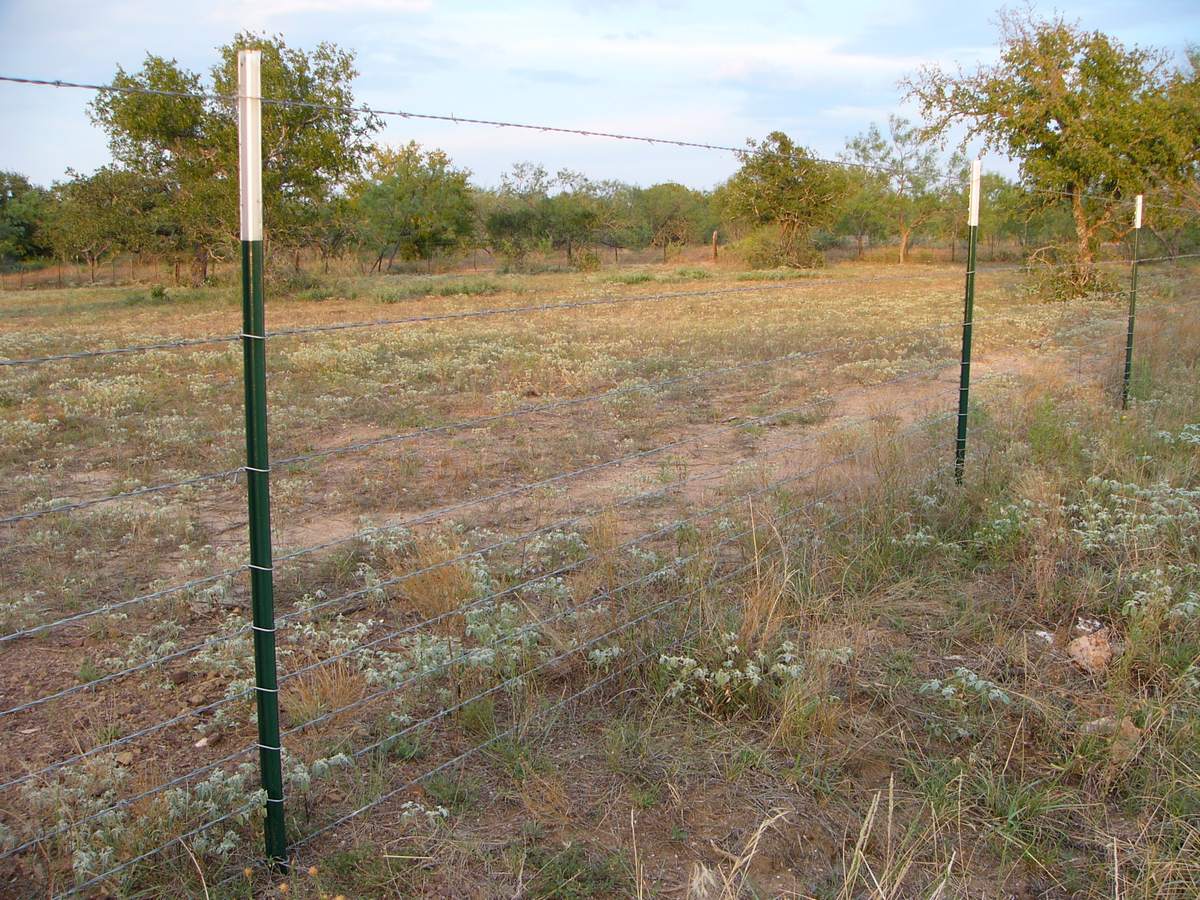 Know how the law relates to fences in Texas.