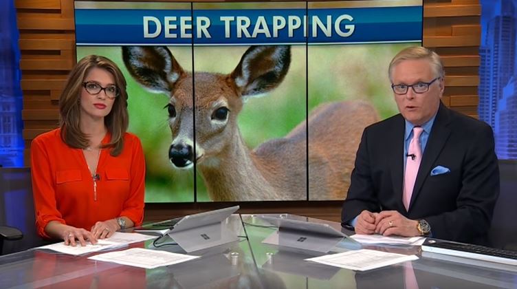 Woman Faces Charged in Deer Trapping Incident