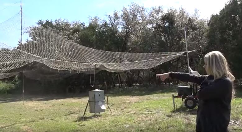 Drop Nets for Deer Trapping in Lakeway, Texas
