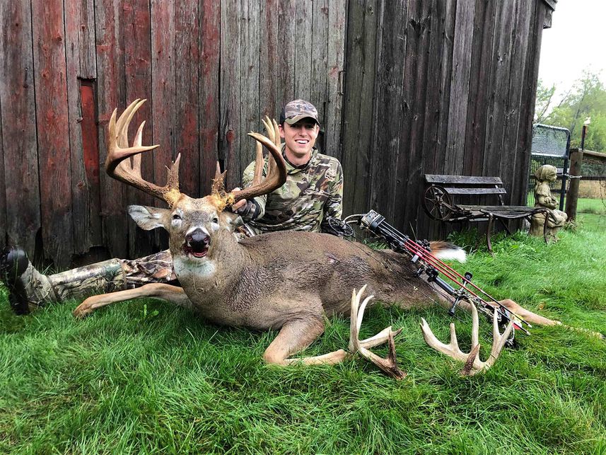 Big whitetail store buck