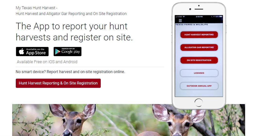 Use My Texas Hunt Harvest App to Report Antlerless Deer Harvest