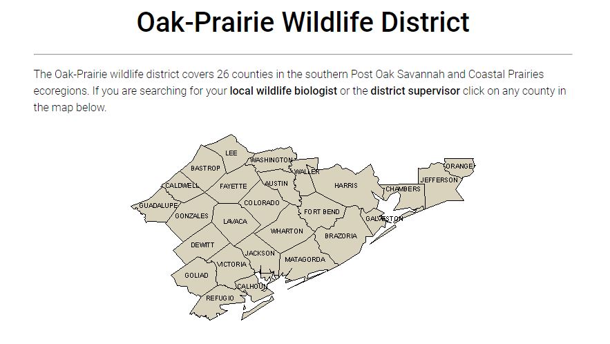 TPWD District 7 Reports Preliminary Doe Harvest