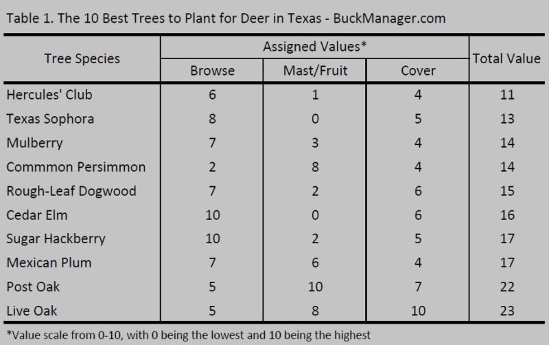 10 Best Trees to Plant for Deer in Texas Food & Habitat