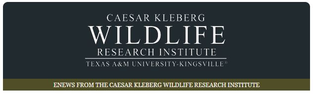 The Caesar Kleberg Wildlife Research Institute Looks into Deer Surveys Using Drones.