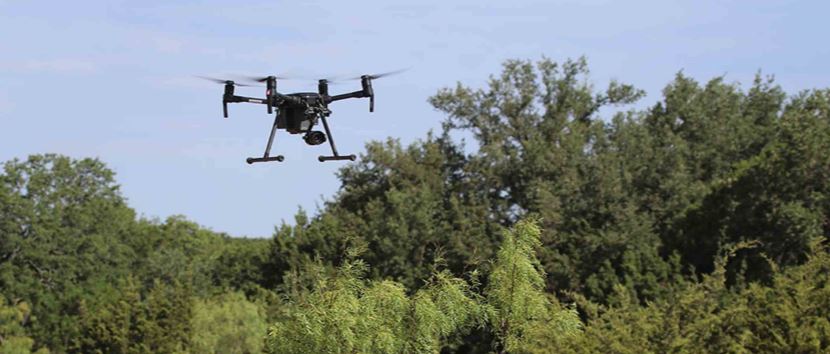Deer Surveys Using Drones