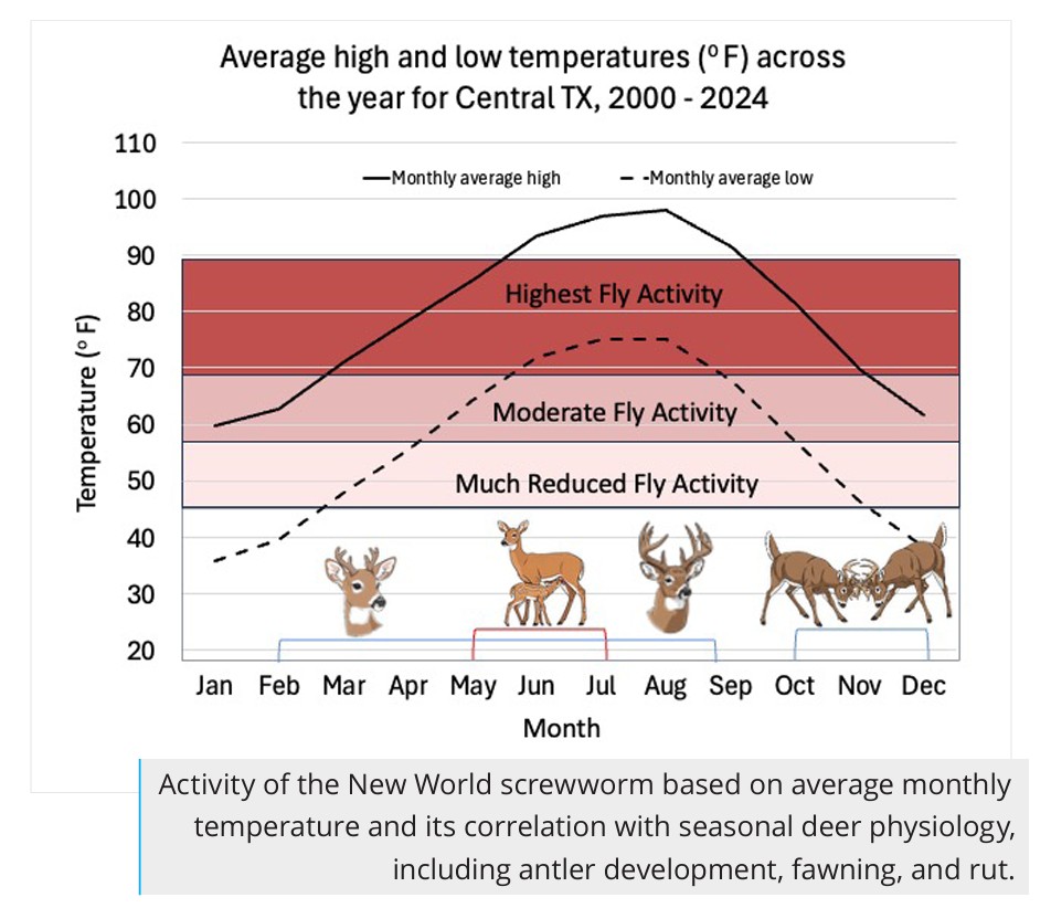 New World Screwworm Activity by Temperature